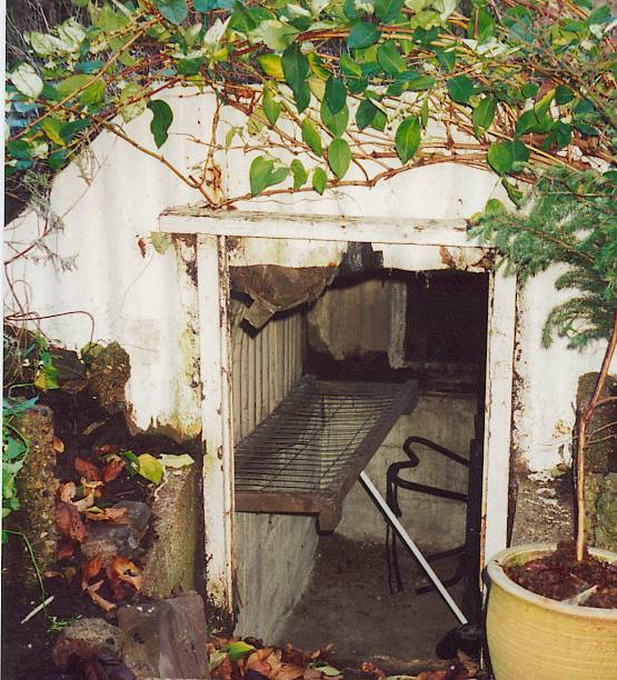 Shelter1